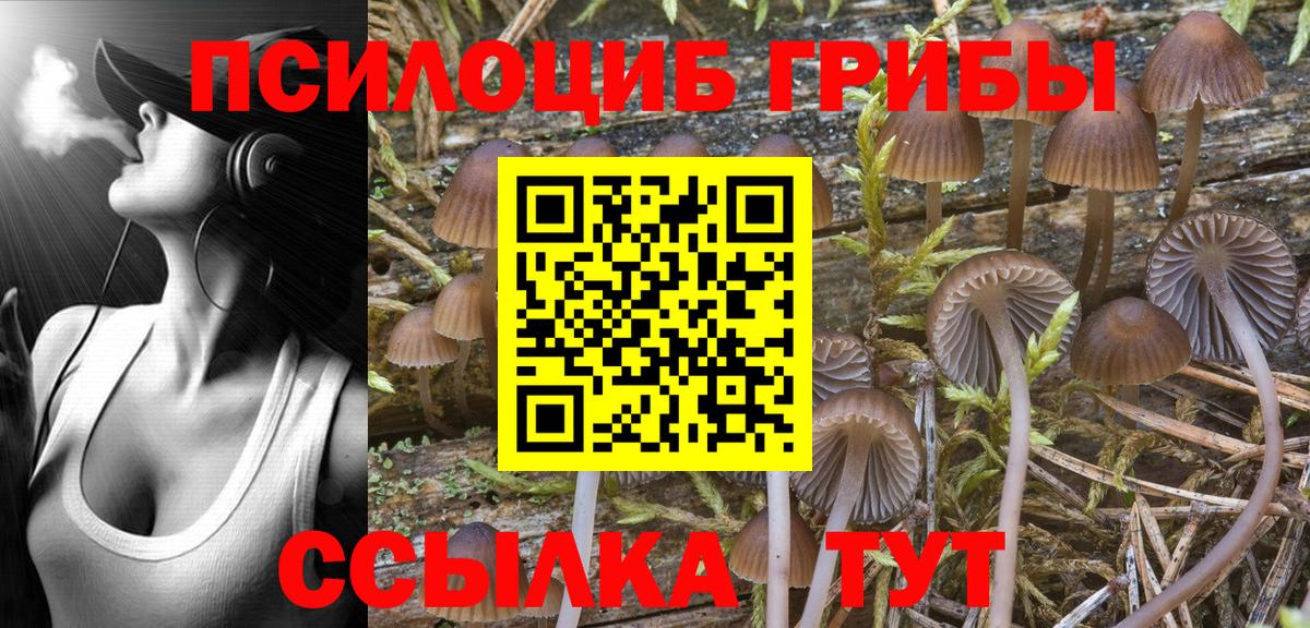 Галлюциногенные грибы мицелий  Вход с VPN  Гай 